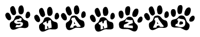 The image shows a row of animal paw prints, each containing a letter. The letters spell out the word Shahzad within the paw prints.