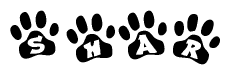 Animal Paw Prints with Shar Lettering