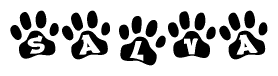 The image shows a series of animal paw prints arranged in a horizontal line. Each paw print contains a letter, and together they spell out the word Salva.