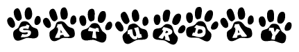 The image shows a series of animal paw prints arranged in a horizontal line. Each paw print contains a letter, and together they spell out the word Saturday.
