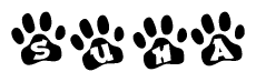 The image shows a series of animal paw prints arranged in a horizontal line. Each paw print contains a letter, and together they spell out the word Suha.
