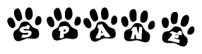 The image shows a series of animal paw prints arranged in a horizontal line. Each paw print contains a letter, and together they spell out the word Spane.