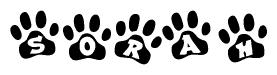 The image shows a series of animal paw prints arranged horizontally. Within each paw print, there's a letter; together they spell Sorah