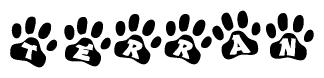 The image shows a series of animal paw prints arranged in a horizontal line. Each paw print contains a letter, and together they spell out the word Terran.