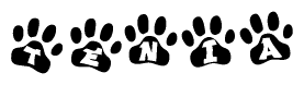 The image shows a row of animal paw prints, each containing a letter. The letters spell out the word Tenia within the paw prints.