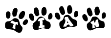 The image shows a series of animal paw prints arranged in a horizontal line. Each paw print contains a letter, and together they spell out the word Tiah.