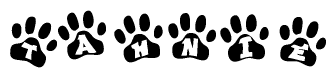The image shows a row of animal paw prints, each containing a letter. The letters spell out the word Tahnie within the paw prints.