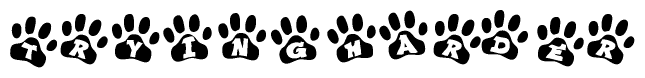The image shows a series of animal paw prints arranged in a horizontal line. Each paw print contains a letter, and together they spell out the word Tryingharder.