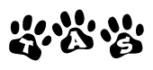 The image shows a series of animal paw prints arranged in a horizontal line. Each paw print contains a letter, and together they spell out the word Tas.