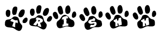 The image shows a series of animal paw prints arranged in a horizontal line. Each paw print contains a letter, and together they spell out the word Trishh.