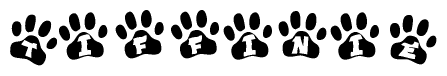 The image shows a series of animal paw prints arranged in a horizontal line. Each paw print contains a letter, and together they spell out the word Tiffinie.
