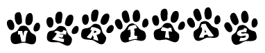 The image shows a series of animal paw prints arranged horizontally. Within each paw print, there's a letter; together they spell Veritas