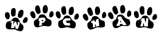 The image shows a series of animal paw prints arranged horizontally. Within each paw print, there's a letter; together they spell Wpchan