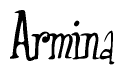 The image is a stylized text or script that reads 'Armina' in a cursive or calligraphic font.