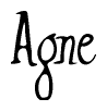 The image contains the word 'Agne' written in a cursive, stylized font.