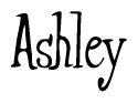 The image is of the word Ashley stylized in a cursive script.