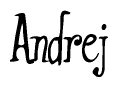 The image is of the word Andrej stylized in a cursive script.