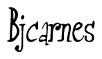 The image contains the word 'Bjcarnes' written in a cursive, stylized font.