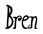 The image is of the word Bren stylized in a cursive script.