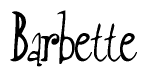 The image contains the word 'Barbette' written in a cursive, stylized font.