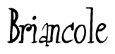 The image is a stylized text or script that reads 'Briancole' in a cursive or calligraphic font.