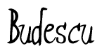 The image contains the word 'Budescu' written in a cursive, stylized font.