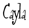 The image is of the word Cayla stylized in a cursive script.