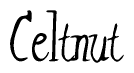 The image is a stylized text or script that reads 'Celtnut' in a cursive or calligraphic font.