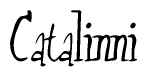 The image contains the word 'Catalinni' written in a cursive, stylized font.