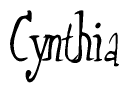 The image is of the word Cynthia stylized in a cursive script.