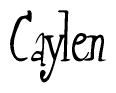 The image is of the word Caylen stylized in a cursive script.
