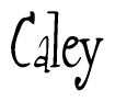 Caley