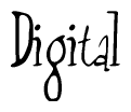 The image contains the word 'Digital' written in a cursive, stylized font.