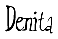 The image is of the word Denita stylized in a cursive script.