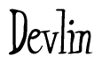 The image is a stylized text or script that reads 'Devlin' in a cursive or calligraphic font.