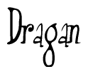 The image is of the word Dragan stylized in a cursive script.