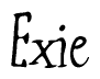 The image is of the word Exie stylized in a cursive script.
