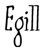 The image contains the word 'Egill' written in a cursive, stylized font.