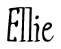 The image is of the word Ellie stylized in a cursive script.