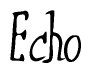 The image is of the word Echo stylized in a cursive script.