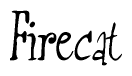 The image is a stylized text or script that reads 'Firecat' in a cursive or calligraphic font.