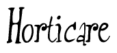 The image is of the word Horticare stylized in a cursive script.