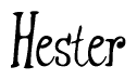 The image is of the word Hester stylized in a cursive script.