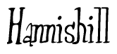 The image contains the word 'Hannishill' written in a cursive, stylized font.