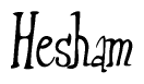 The image contains the word 'Hesham' written in a cursive, stylized font.