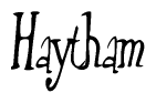 The image contains the word 'Haytham' written in a cursive, stylized font.
