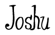 The image is of the word Joshu stylized in a cursive script.