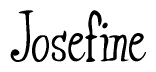 The image is a stylized text or script that reads 'Josefine' in a cursive or calligraphic font.