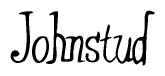 The image is of the word Johnstud stylized in a cursive script.