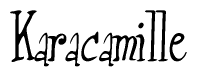 The image contains the word 'Karacamille' written in a cursive, stylized font.